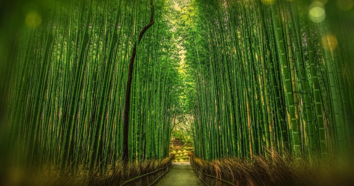 京都府京都市の風景